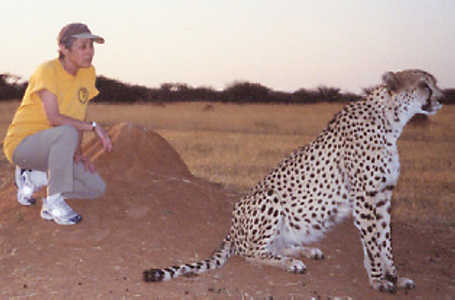 In a bold move, Nikki gives the cheetah a head start.