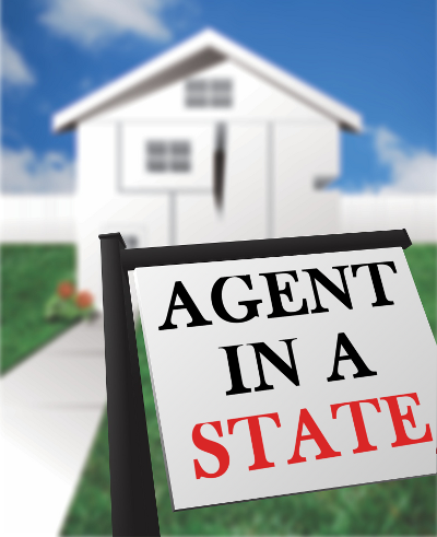 Agent in a State by Emma Northcott
