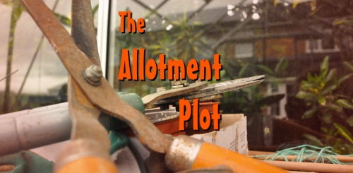 The Allotment Plot by Emma Northcott