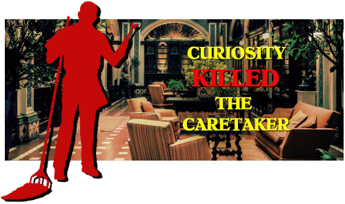 Curiosity Killed the Caretaker by Patricia Gay